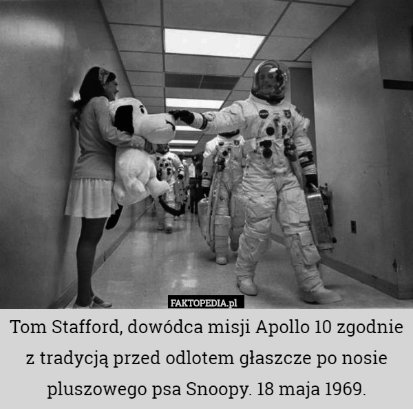 Tom Stafford, dowódca misji Apollo 10 zgodnie z tradycją przed odlotem głaszcze po nosie pluszowego psa Snoopy. 18 maja 1969. 