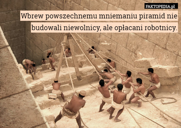 Wbrew powszechnemu mniemaniu piramid nie budowali niewolnicy, ale opłacani robotnicy. 