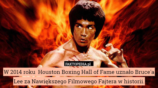 W 2014 roku  Houston Boxing Hall of Fame uznało Bruce'a Lee za Nawiększego Filmowego Fajtera w historii. 