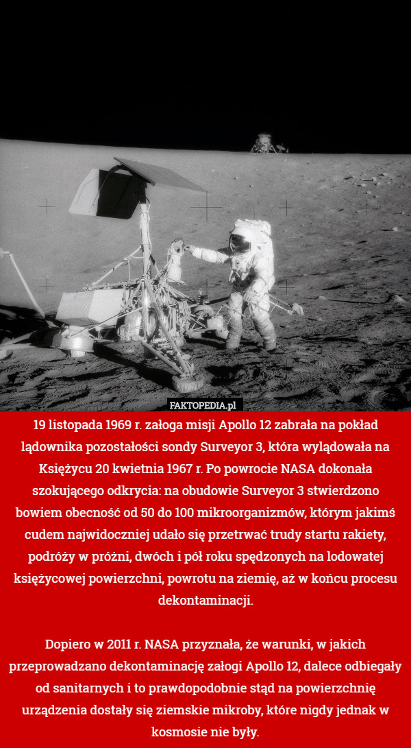 19 listopada 1969 r. załoga misji Apollo 12 zabrała na pokład lądownika pozostałości sondy Surveyor 3, która wylądowała na Księżycu 20 kwietnia 1967 r. Po powrocie NASA dokonała szokującego odkrycia: na obudowie Surveyor 3 stwierdzono bowiem obecność od 50 do 100 mikroorganizmów, którym jakimś cudem najwidoczniej udało się przetrwać trudy startu rakiety, podróży w próżni, dwóch i pół roku spędzonych na lodowatej księżycowej powierzchni, powrotu na ziemię, aż w końcu procesu dekontaminacji.

Dopiero w 2011 r. NASA przyznała, że warunki, w jakich przeprowadzano dekontaminację załogi Apollo 12, dalece odbiegały od sanitarnych i to prawdopodobnie stąd na powierzchnię urządzenia dostały się ziemskie mikroby, które nigdy jednak w kosmosie nie były. 