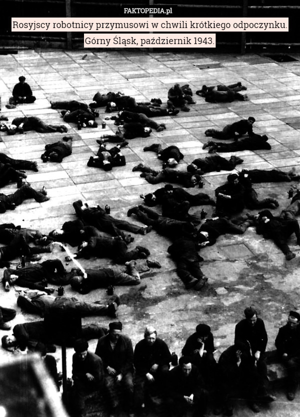 Rosyjscy robotnicy przymusowi w chwili krótkiego odpoczynku.
Górny Śląsk, październik 1943. 