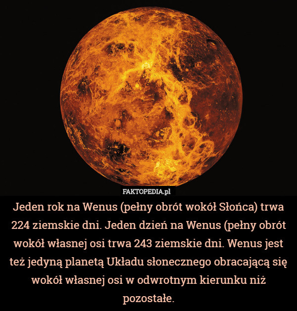 Jeden rok na Wenus (pełny obrót wokół Słońca) trwa 224 ziemskie dni. Jeden dzień na Wenus (pełny obrót wokół własnej osi trwa 243 ziemskie dni. Wenus jest też jedyną planetą Układu słonecznego obracającą się wokół własnej osi w odwrotnym kierunku niż pozostałe. 