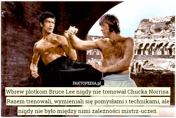 Wbrew plotkom Bruce Lee nigdy nie trenował Chucka Norrisa. Razem trenowali, wymieniali się pomysłami i technikami, ale nigdy nie było między nimi zależności mistrz-uczeń. 
