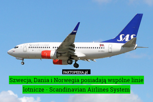 Szwecja, Dania i Norwegia posiadają wspólne linie lotnicze - Scandinavian Airlines System 