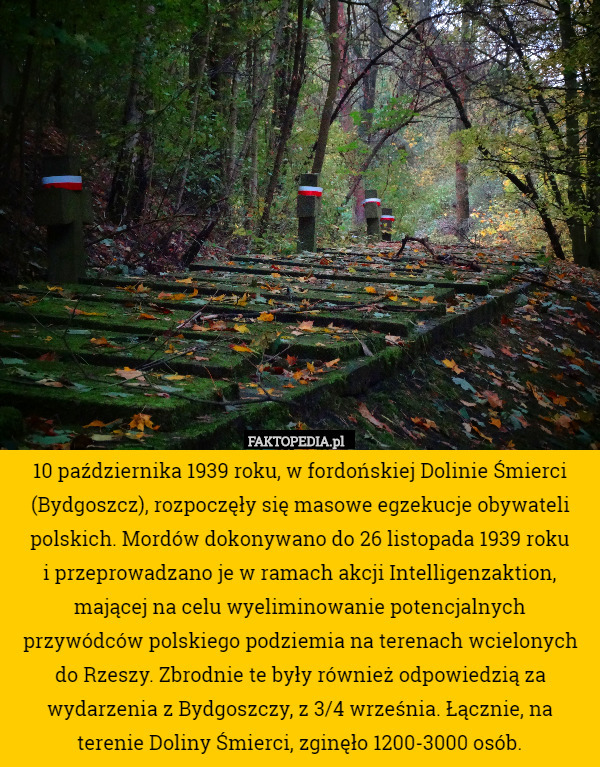 10 października 1939 roku, w fordońskiej Dolinie Śmierci (Bydgoszcz), rozpoczęły się masowe egzekucje obywateli polskich. Mordów dokonywano do 26 listopada 1939 roku
 i przeprowadzano je w ramach akcji Intelligenzaktion, mającej na celu wyeliminowanie potencjalnych przywódców polskiego podziemia na terenach wcielonych do Rzeszy. Zbrodnie te były również odpowiedzią za wydarzenia z Bydgoszczy, z 3/4 września. Łącznie, na terenie Doliny Śmierci, zginęło 1200-3000 osób. 