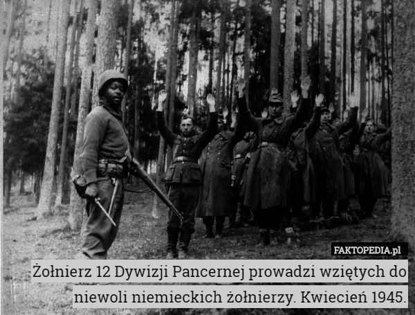 Żołnierz 12 Dywizji Pancernej prowadzi wziętych do niewoli niemieckich żołnierzy. Kwiecień 1945. 