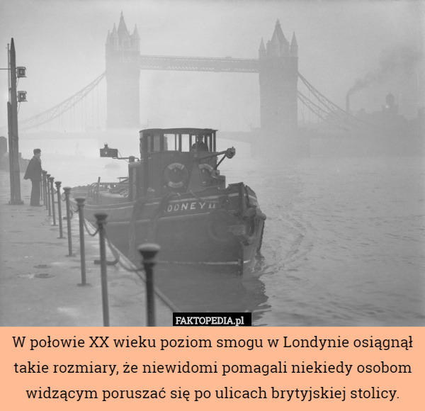 W połowie XX wieku poziom smogu w Londynie osiągnął takie rozmiary, że niewidomi pomagali niekiedy osobom widzącym poruszać się po ulicach brytyjskiej stolicy. 