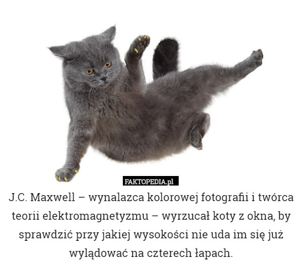 J.C. Maxwell – wynalazca kolorowej fotografii i twórca teorii elektromagnetyzmu – wyrzucał koty z okna, by sprawdzić przy jakiej wysokości nie uda im się już wylądować na czterech łapach. 