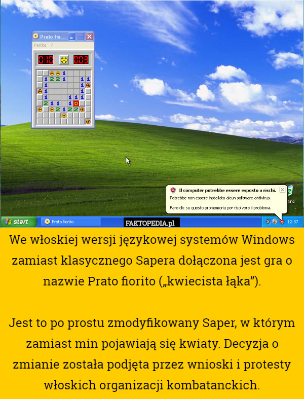 We włoskiej wersji językowej systemów Windows zamiast klasycznego Sapera dołączona jest gra o nazwie Prato fiorito („kwiecista łąka”).

Jest to po prostu zmodyfikowany Saper, w którym zamiast min pojawiają się kwiaty. Decyzja o zmianie została podjęta przez wnioski i protesty włoskich organizacji kombatanckich. 