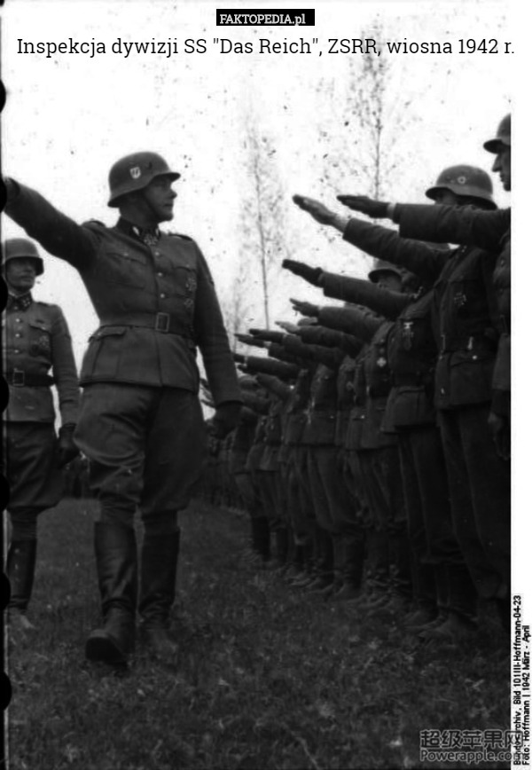 Inspekcja dywizji SS "Das Reich", ZSRR, wiosna 1942 r. 