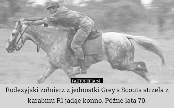 Rodezyjski żołnierz z jednostki Grey's Scouts strzela z karabinu R1 jadąc konno. Późne lata 70. 