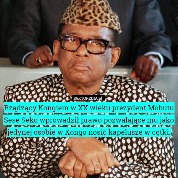 Rządzący Kongiem w XX wieku prezydent Mobutu Sese Seko wprowadził prawo pozwalające mu jako jedynej osobie w Kongo nosić kapelusze w cętki. 
