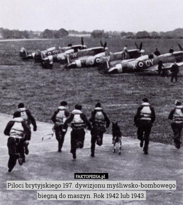 Piloci brytyjskiego 197. dywizjonu myśliwsko-bombowego biegną do maszyn. Rok 1942 lub 1943. 