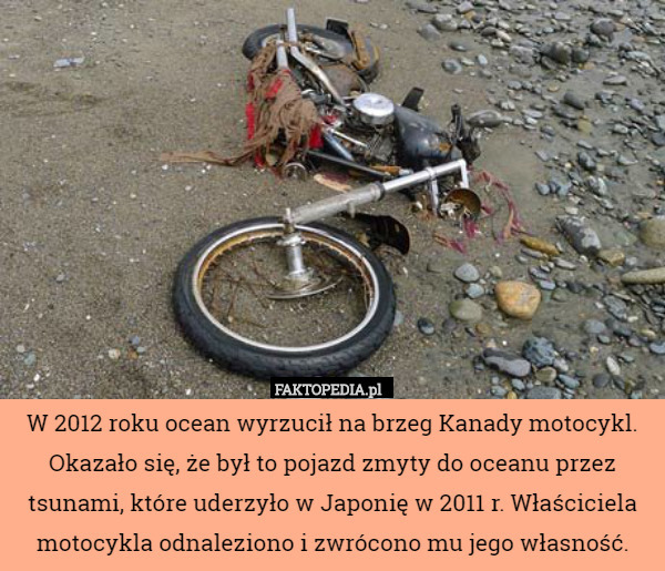 W 2012 roku ocean wyrzucił na brzeg Kanady motocykl. Okazało się, że był to pojazd zmyty do oceanu przez tsunami, które uderzyło w Japonię w 2011 r. Właściciela motocykla odnaleziono i zwrócono mu jego własność. 