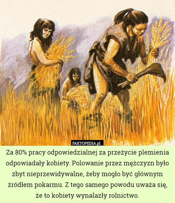 Za 80% pracy odpowiedzialnej za przeżycie plemienia odpowiadały kobiety. Polowanie przez mężczyzn było zbyt nieprzewidywalne, żeby mogło być głównym źródłem pokarmu. Z tego samego powodu uważa się,
 że to kobiety wynalazły rolnictwo. 