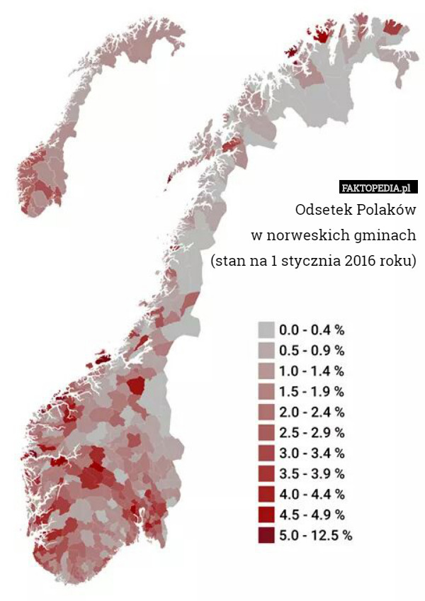 Odsetek Polaków
w norweskich gminach
(stan na 1 stycznia 2016 roku) 