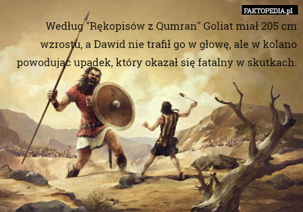 Według "Rękopisów z Qumran" Goliat miał 205 cm wzrostu, a Dawid nie trafił go w głowę, ale w kolano powodując upadek, który okazał się fatalny w skutkach. 