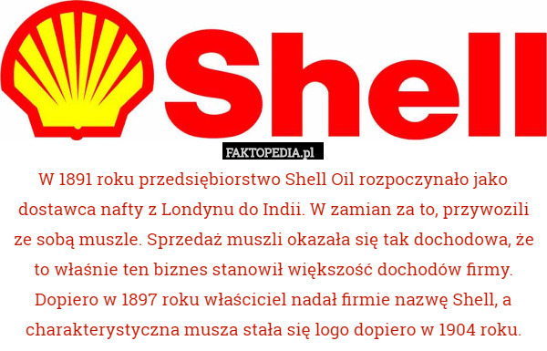 W 1891 roku przedsiębiorstwo Shell Oil rozpoczynało jako dostawca nafty z Londynu do Indii. W zamian za to, przywozili ze sobą muszle. Sprzedaż muszli okazała się tak dochodowa, że to właśnie ten biznes stanowił większość dochodów firmy. Dopiero w 1897 roku właściciel nadał firmie nazwę Shell, a charakterystyczna musza stała się logo dopiero w 1904 roku. 