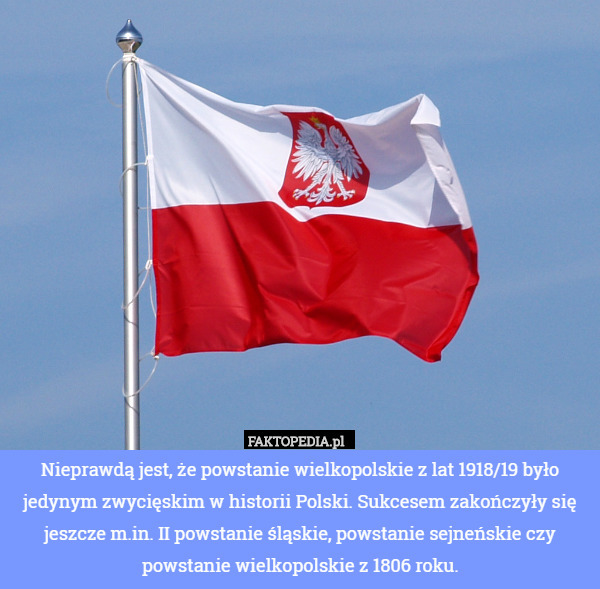 Nieprawdą jest, że powstanie wielkopolskie z lat 1918/19 było jedynym zwycięskim w historii Polski. Sukcesem zakończyły się jeszcze m.in. II powstanie śląskie, powstanie sejneńskie czy powstanie wielkopolskie z 1806 roku. 