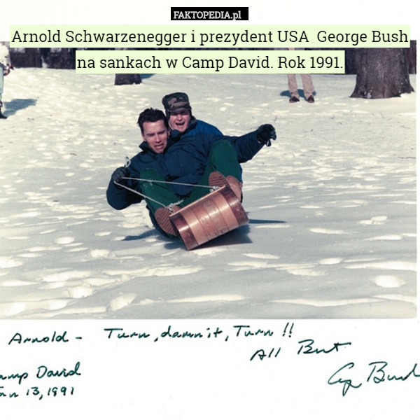 Arnold Schwarzenegger i prezydent USA  George Bush na sankach w Camp David. Rok 1991. 