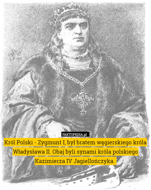 Król Polski - Zygmunt I, był bratem węgierskiego króla Władysława II. Obaj byli synami króla polskiego Kazimierza IV Jagiellończyka. 