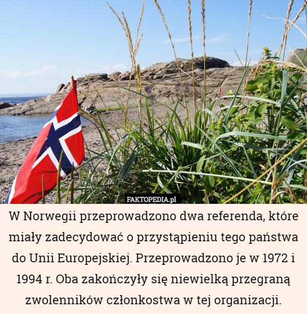 W Norwegii przeprowadzono dwa referenda, które miały zadecydować o przystąpieniu tego państwa do Unii Europejskiej. Przeprowadzono je w 1972 i 1994 r. Oba zakończyły się niewielką przegraną zwolenników członkostwa w tej organizacji. 