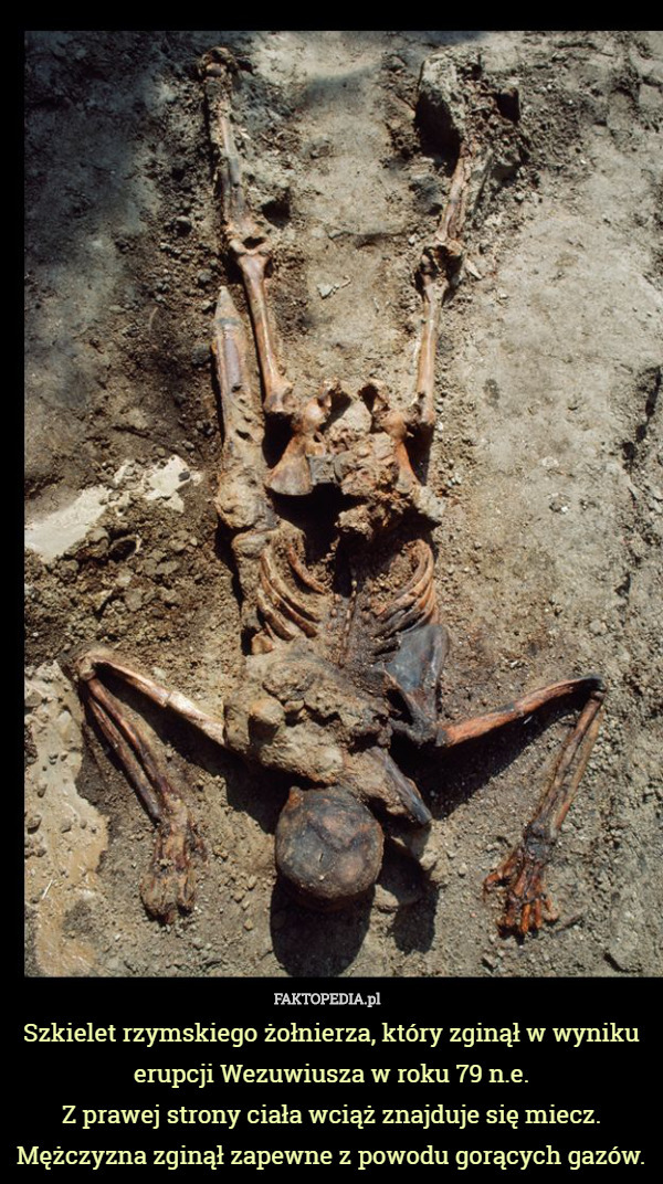 Szkielet rzymskiego żołnierza, który zginął w wyniku erupcji Wezuwiusza w roku 79 n.e.
Z prawej strony ciała wciąż znajduje się miecz. Mężczyzna zginął zapewne z powodu gorących gazów. 