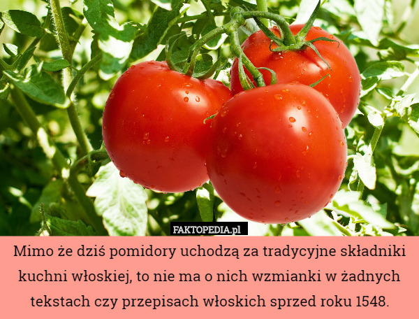 Mimo że dziś pomidory uchodzą za tradycyjne składniki kuchni włoskiej, to nie ma o nich wzmianki w żadnych tekstach czy przepisach włoskich sprzed roku 1548. 