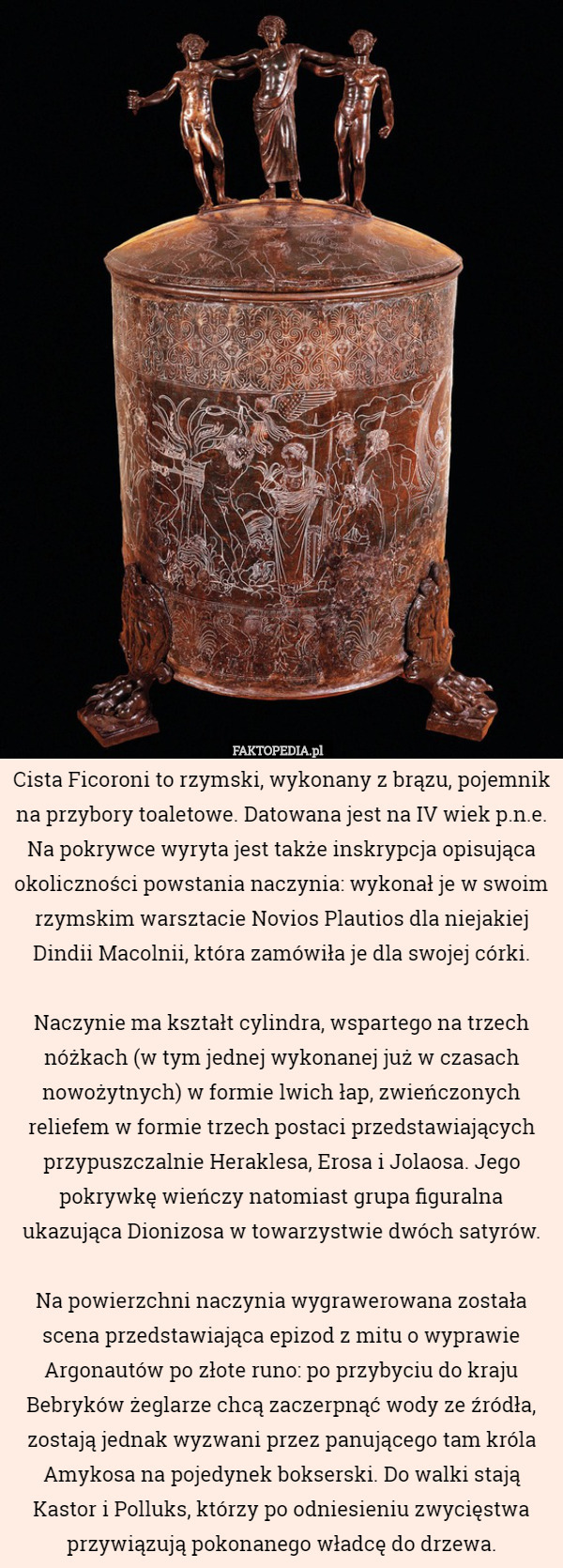 Cista Ficoroni to rzymski, wykonany z brązu, pojemnik na przybory toaletowe. Datowana jest na IV wiek p.n.e.
Na pokrywce wyryta jest także inskrypcja opisująca okoliczności powstania naczynia: wykonał je w swoim rzymskim warsztacie Novios Plautios dla niejakiej Dindii Macolnii, która zamówiła je dla swojej córki.

Naczynie ma kształt cylindra, wspartego na trzech nóżkach (w tym jednej wykonanej już w czasach nowożytnych) w formie lwich łap, zwieńczonych reliefem w formie trzech postaci przedstawiających przypuszczalnie Heraklesa, Erosa i Jolaosa. Jego pokrywkę wieńczy natomiast grupa figuralna ukazująca Dionizosa w towarzystwie dwóch satyrów.

Na powierzchni naczynia wygrawerowana została scena przedstawiająca epizod z mitu o wyprawie Argonautów po złote runo: po przybyciu do kraju Bebryków żeglarze chcą zaczerpnąć wody ze źródła, zostają jednak wyzwani przez panującego tam króla Amykosa na pojedynek bokserski. Do walki stają Kastor i Polluks, którzy po odniesieniu zwycięstwa przywiązują pokonanego władcę do drzewa. 