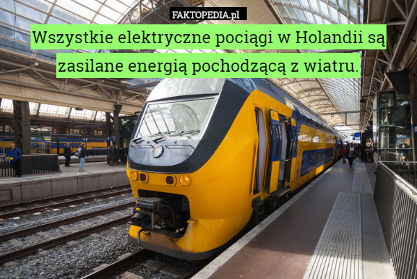 Wszystkie elektryczne pociągi w Holandii są zasilane energią pochodzącą z wiatru. 