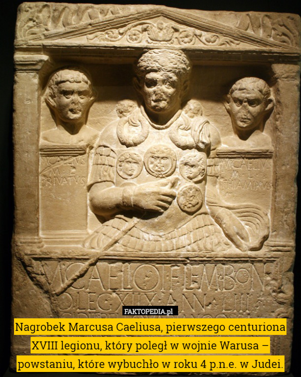 Nagrobek Marcusa Caeliusa, pierwszego centuriona XVIII legionu, który poległ w wojnie Warusa – powstaniu, które wybuchło w roku 4 p.n.e. w Judei. 