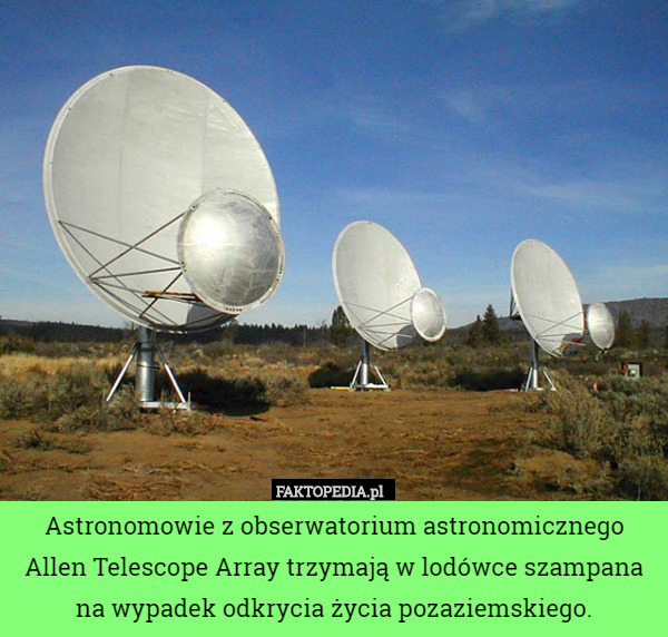 Astronomowie z obserwatorium astronomicznego Allen Telescope Array trzymają w lodówce szampana na wypadek odkrycia życia pozaziemskiego. 