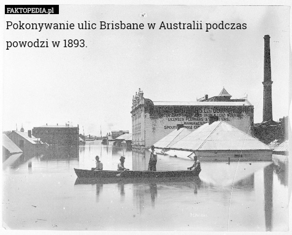 Pokonywanie ulic Brisbane w Australii podczas powodzi w 1893. 