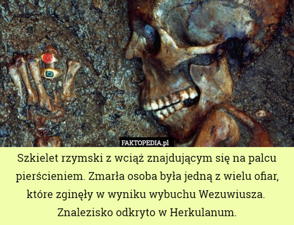 Szkielet rzymski z wciąż znajdującym się na palcu pierścieniem. Zmarła osoba była jedną z wielu ofiar, które zginęły w wyniku wybuchu Wezuwiusza. 
Znalezisko odkryto w Herkulanum. 