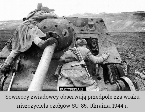 Sowieccy zwiadowcy obserwują przedpole zza wraku niszczyciela czołgów SU-85. Ukraina, 1944 r. 