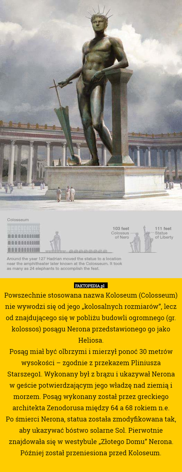 Powszechnie stosowana nazwa Koloseum (Colosseum) nie wywodzi się od jego „kolosalnych rozmiarów”, lecz od znajdującego się w pobliżu budowli ogromnego (gr. kolossos) posągu Nerona przedstawionego go jako Heliosa.
Posąg miał być olbrzymi i mierzył ponoć 30 metrów wysokości – zgodnie z przekazem Pliniusza Starszego1. Wykonany był z brązu i ukazywał Nerona w geście potwierdzającym jego władzę nad ziemią i morzem. Posąg wykonany został przez greckiego architekta Zenodorusa między 64 a 68 rokiem n.e.
Po śmierci Nerona, statua została zmodyfikowana tak, aby ukazywać bóstwo solarne Sol. Pierwotnie znajdowała się w westybule „Złotego Domu” Nerona. Później został przeniesiona przed Koloseum. 