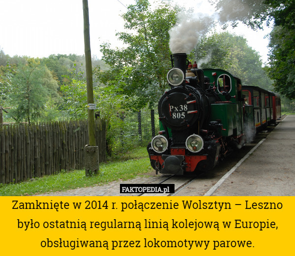 Zamknięte w 2014 r. połączenie Wolsztyn – Leszno było ostatnią regularną linią kolejową w Europie, obsługiwaną przez lokomotywy parowe. 