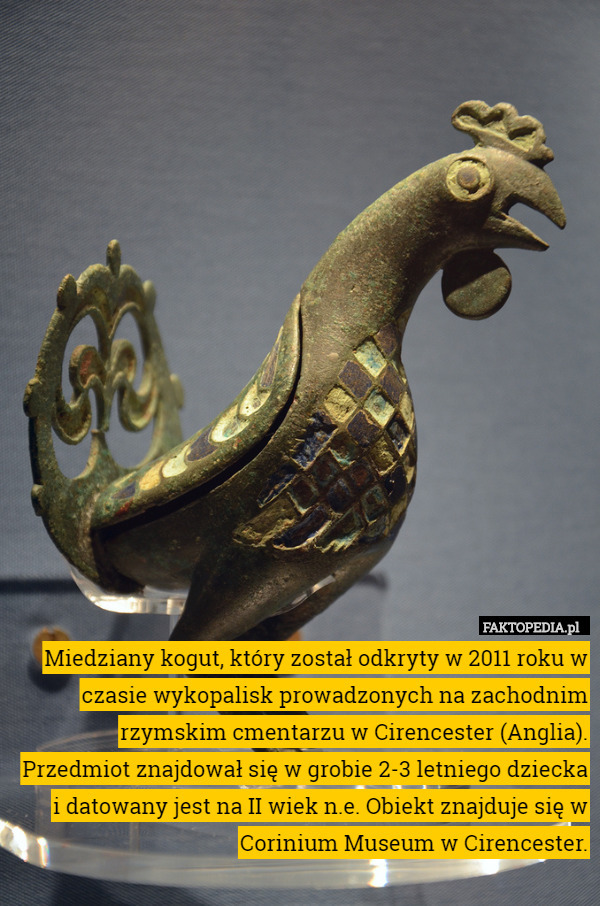 Miedziany kogut, który został odkryty w 2011 roku w czasie wykopalisk prowadzonych na zachodnim rzymskim cmentarzu w Cirencester (Anglia).
Przedmiot znajdował się w grobie 2-3 letniego dziecka i datowany jest na II wiek n.e. Obiekt znajduje się w Corinium Museum w Cirencester. 