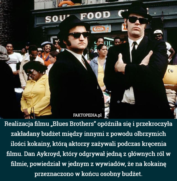 Realizacja filmu „Blues Brothers” opóźniła się i przekroczyła zakładany budżet między innymi z powodu olbrzymich ilości kokainy, którą aktorzy zażywali podczas kręcenia filmu. Dan Aykroyd, który odgrywał jedną z głównych ról w filmie, powiedział w jednym z wywiadów, że na kokainę przeznaczono w końcu osobny budżet. 