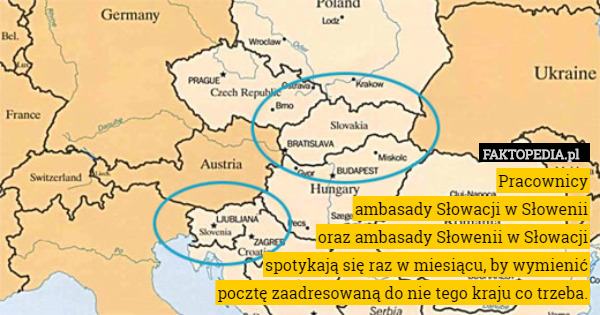 Pracownicy
ambasady Słowacji w Słowenii
oraz ambasady Słowenii w Słowacji
spotykają się raz w miesiącu, by wymienić
pocztę zaadresowaną do nie tego kraju co trzeba. 