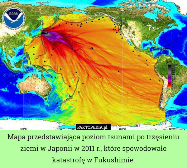 Mapa przedstawiająca poziom tsunami po trzęsieniu ziemi w Japonii w 2011 r., które spowodowało katastrofę w Fukushimie. 