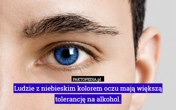 Ludzie z niebieskim kolorem oczu mają większą tolerancję na alkohol. 