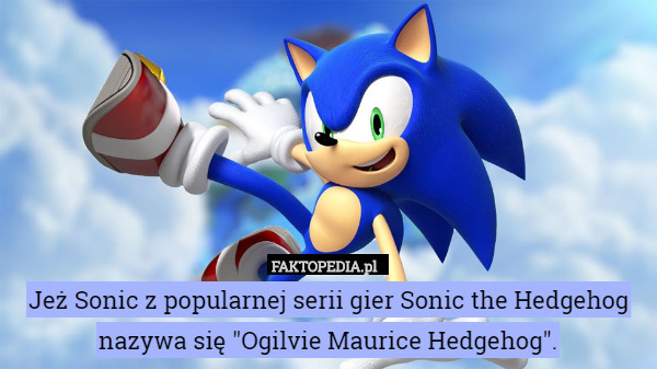 Jeż Sonic z popularnej serii gier Sonic the Hedgehog nazywa się "Ogilvie Maurice Hedgehog". 