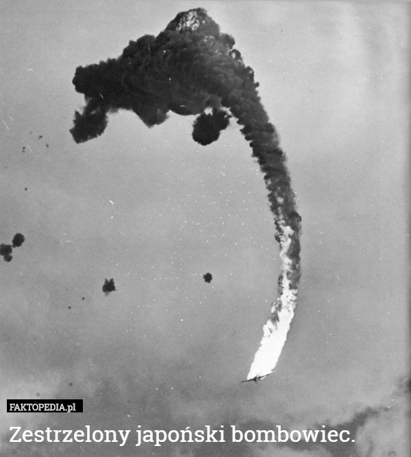 Zestrzelony japoński bombowiec. 
