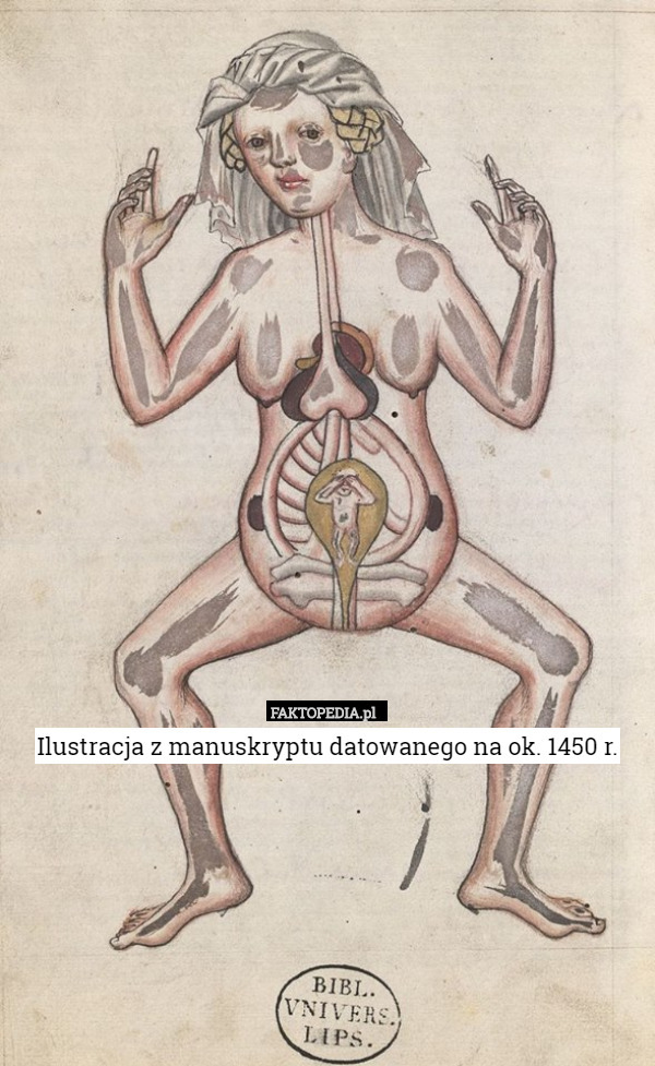 Ilustracja z manuskryptu datowanego na ok. 1450 r. 