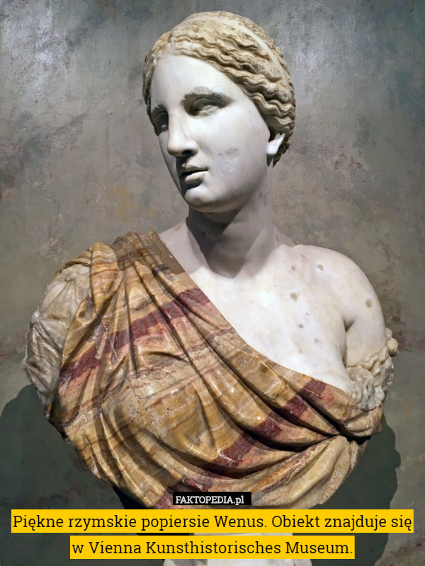 Piękne rzymskie popiersie Wenus. Obiekt znajduje się w Vienna Kunsthistorisches Museum. 