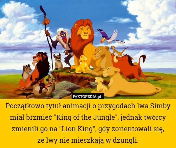 Początkowo tytuł animacji o przygodach lwa Simby miał brzmieć "King of the Jungle", jednak twórcy zmienili go na "Lion King", gdy zorientowali się,
 że lwy nie mieszkają w dżungli. 