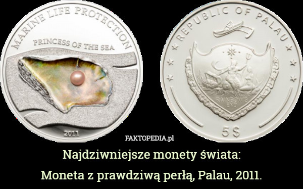 Najdziwniejsze monety świata:
Moneta z prawdziwą perłą, Palau, 2011. 