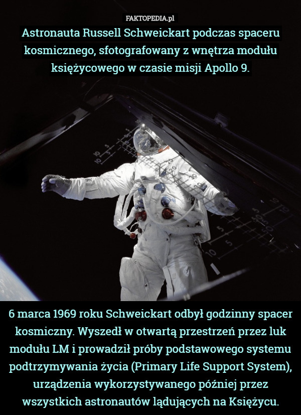 Astronauta Russell Schweickart podczas spaceru kosmicznego, sfotografowany z wnętrza modułu księżycowego w czasie misji Apollo 9.













 6 marca 1969 roku Schweickart odbył godzinny spacer kosmiczny. Wyszedł w otwartą przestrzeń przez luk modułu LM i prowadził próby podstawowego systemu podtrzymywania życia (Primary Life Support System), urządzenia wykorzystywanego później przez wszystkich astronautów lądujących na Księżycu. 