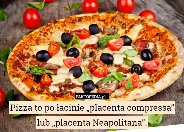 Pizza to po łacinie „placenta compressa” lub „placenta Neapolitana”. 